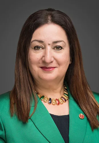 Photo of Salma Ataullahjan